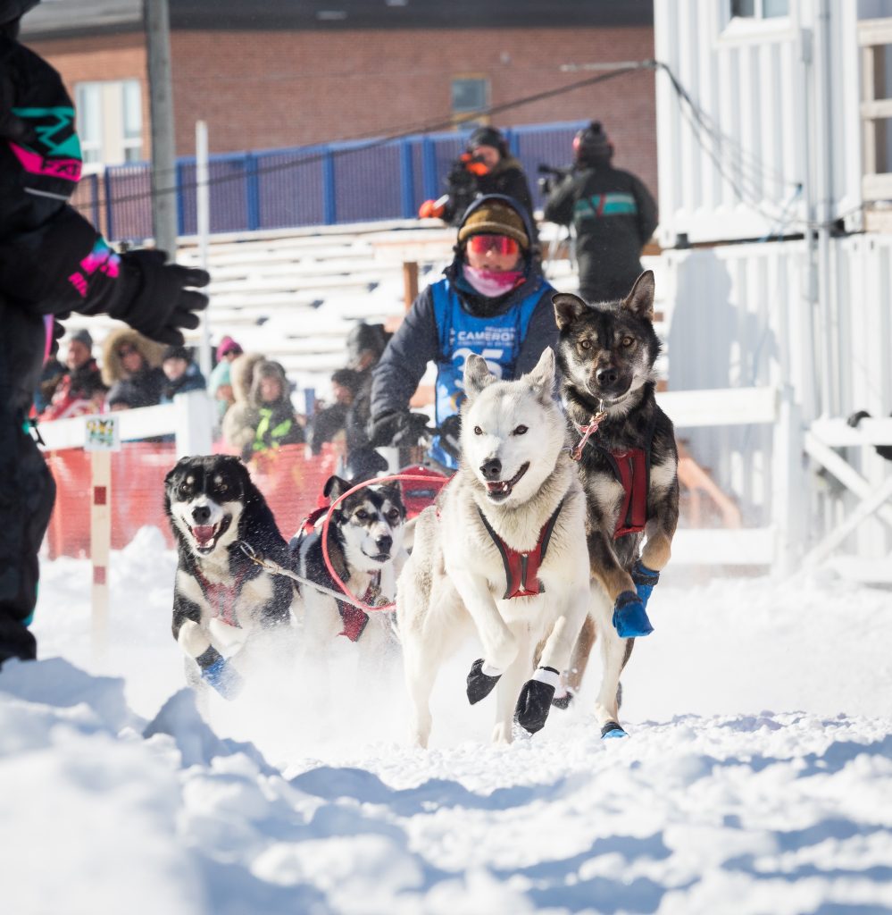 Chaque hiver, la course PG Expédition Abitibi revient en Abitibi-Ouest. Voilà une belle façon de vivre notre nordicité.